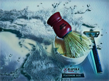 SOTD 240817