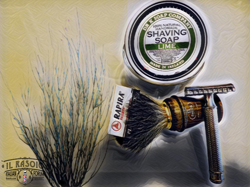 SOTD 250817