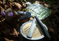 sotd 15.9.17
