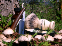 sotd 18.9.17