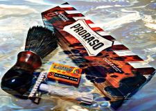 SOTD 241017