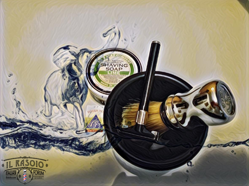 SOTD 301017