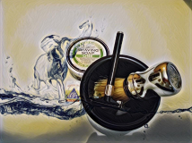 SOTD 301017