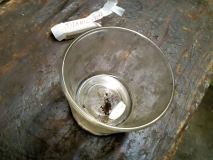 IMG-20171124-WA0011