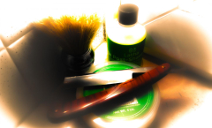 SOTD 08/12/2017