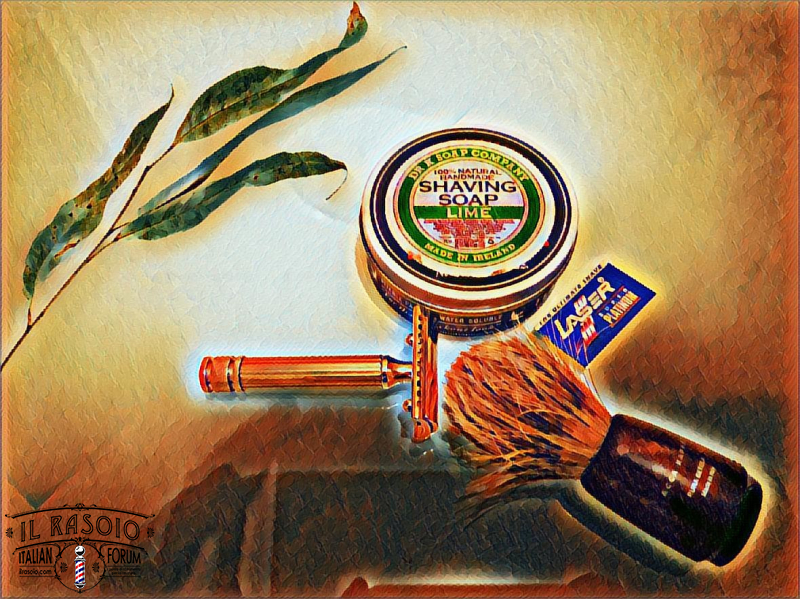 SOTD 131217