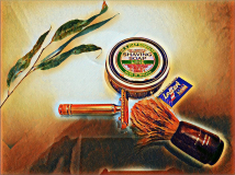SOTD 131217
