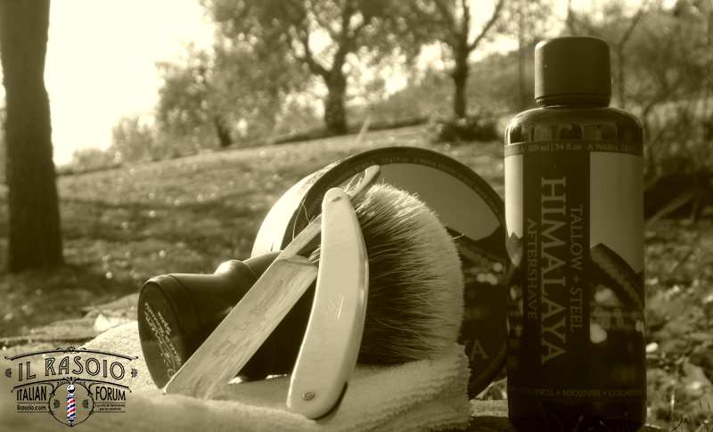 sotd 17.12.17