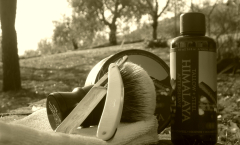sotd 17.12.17