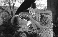 sotd 19.12.17