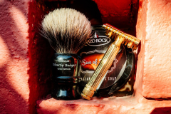 SOTD Dec 21 2017