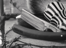 sotd 22.12.17