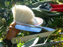 sotd 18.1.18
