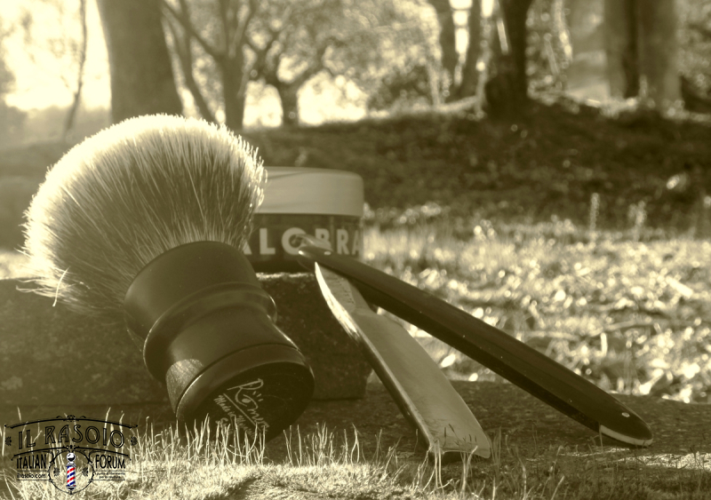 sotd 21.1.18