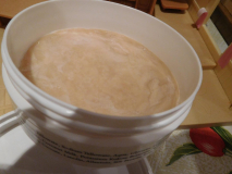 DSCN0986