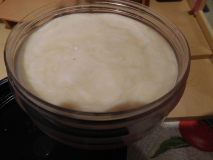 DSCN0989