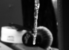 sotd 27.2.18