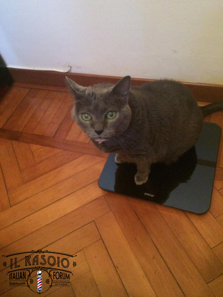 micia
