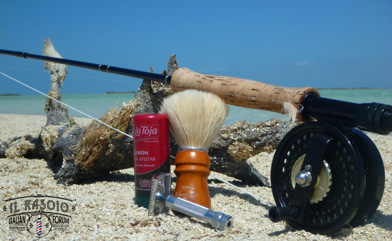 sotd 1.4.2018