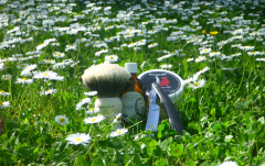sotd 8.4.18