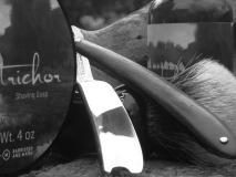 sotd 13.4.18