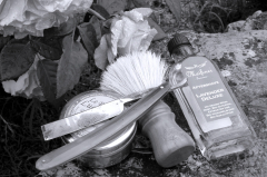 sotd 16.5.18