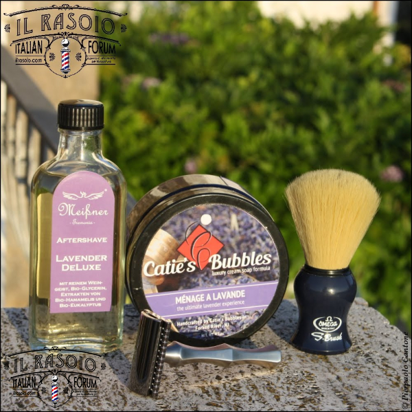SOTD20180519 Viola