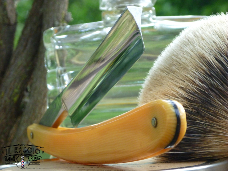 sotd 11.6.18
