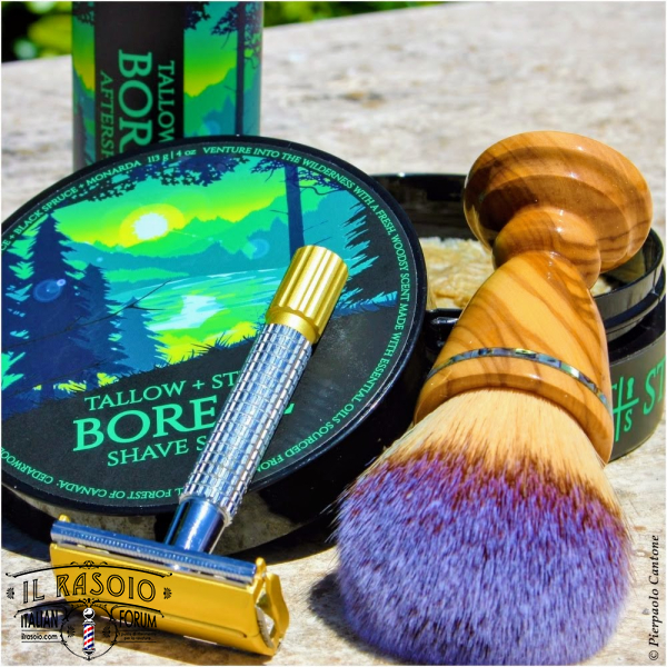 SOTD20180628 Boreale