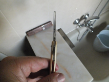 DSCF1245