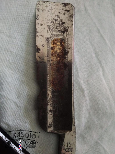 Filarmonica5