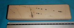 salamandrata