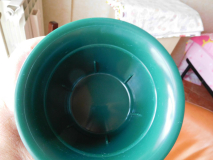 DSCN1294