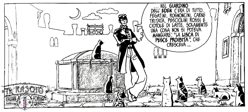 corto gatti
