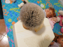 DSCN1404