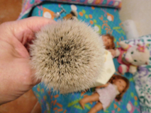 DSCN1412