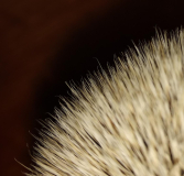 IMG 20190109 202558