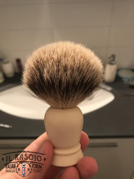 Pennello di tasso?