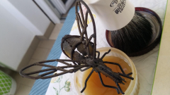 20190426 105821
