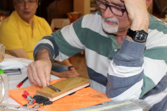 IMG 4741