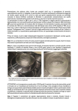 Sgagn d’la Bissa AS - Testo SB v1.0 pag2