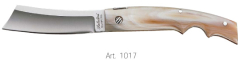 1017 Z