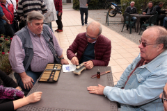 IMG 7153