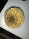 IMG 20131017 175633