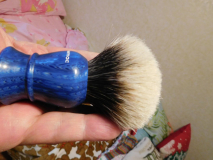 DSCN2424
