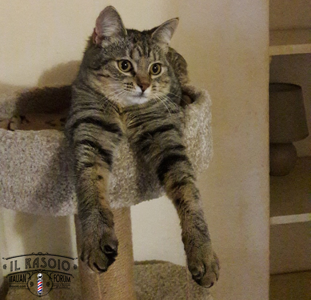 Fiona