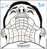 faceMapping