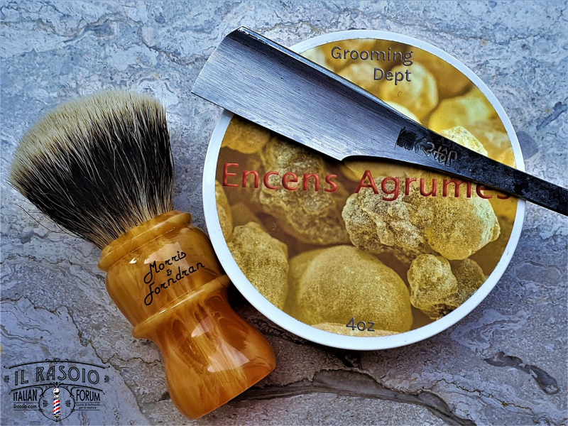 SOTD 20200613