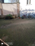 IMG_20210325_161553