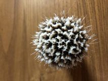 21D6476E-53B5-4658-AE55-0619658105EE